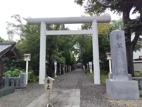 新琴似神社の鳥居