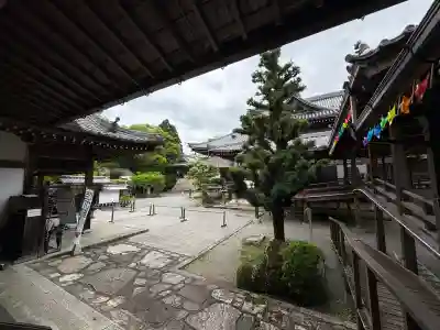西教寺(滋賀県)