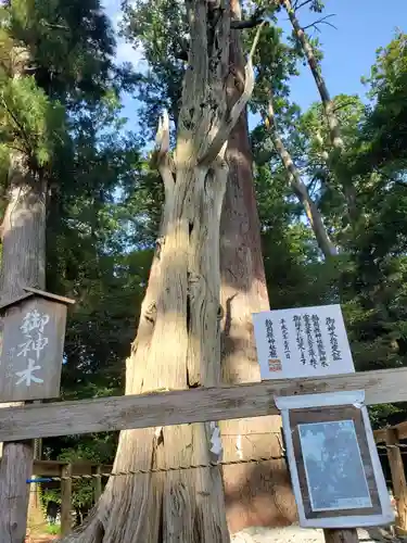 渭伊神社の自然