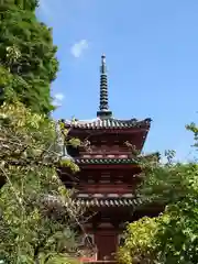 三室戸寺の塔