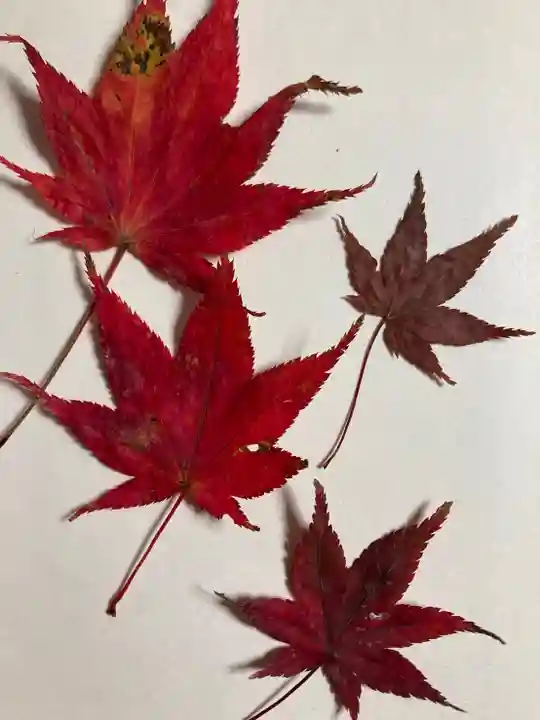 性海寺(兵庫県)