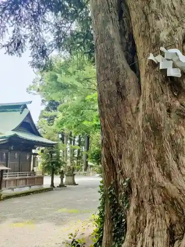 御宝殿熊野神社の庭園