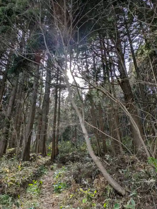函館八幡宮の自然