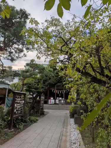 鳩森八幡神社の自然
