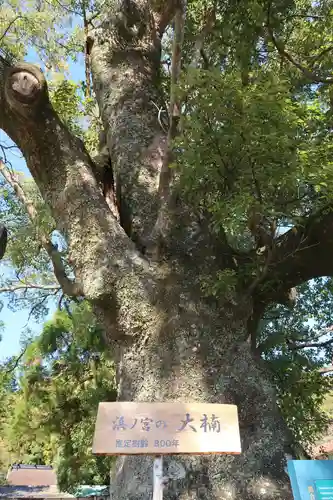 熊野三所大神社（浜の宮王子）(和歌山県)