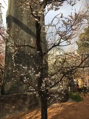 湯島天満宮の庭園