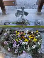 白鷺神社の手水舎