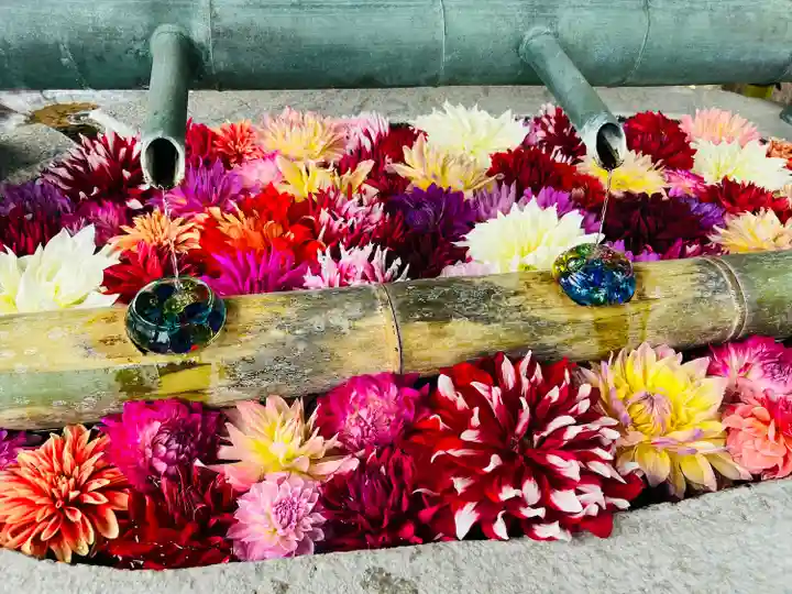 岡寺(龍蓋寺)(奈良県)