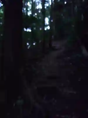 大元神社（宇佐神宮奥宮）(大分県)