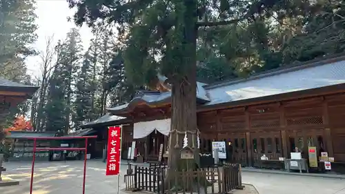 穂高神社本宮(長野県)