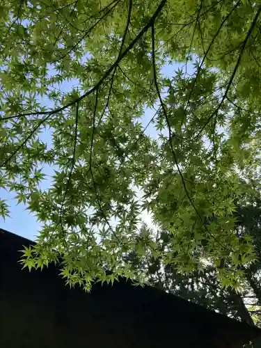 滑川神社 - 仕事と子どもの守り神(福島県)