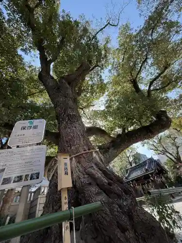 難波神社の{uncategorized: "未分類", other: "その他", undefined: "問題あり", building: "その他建物", grave: "お墓", sacred_gate: "鳥居", guardian: "狛犬", statue: "像", buddha: "仏像", history: "歴史", nature: "自然", garden: "庭園", animal: "動物", pagoda: "塔", temizu: "手水舎", mountain_gate: "山門・神門", sanctuary: "本殿・本堂", subordinate: "末社・摂社", art: "芸術", scenery: "景色", jizo: "地蔵", ema: "絵馬", goshuin: "御朱印", omikuji: "おみくじ", items: "授与品その他", amulet: "お守り", goshuincho: "御朱印帳", eats: "食事", festival: "お祭り", votive_dance: "神楽", shichigosan: "七五三参", wedding: "結婚式", experience: "体験その他", initially: "初詣", around: "周辺", anti_infection: "感染症対策"}