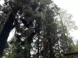 大宮温泉神社(栃木県)(2023年04月20日(木) 10時28分47秒投稿)