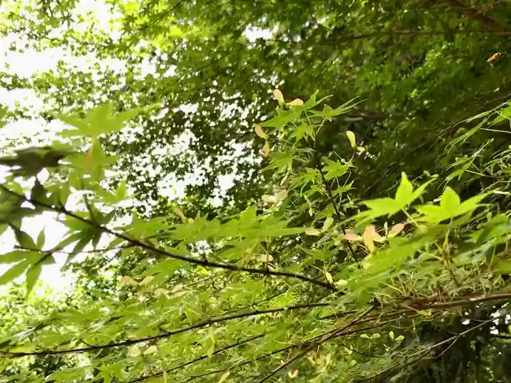 畑子安神社の自然