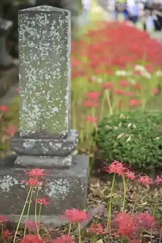 横浜　西方寺(神奈川県)