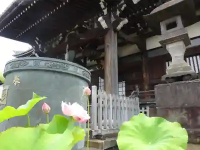 妙蓮寺の本殿・本堂