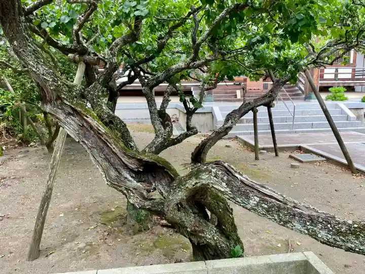 地福寺(神奈川県)