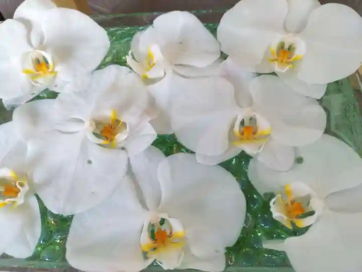 瑞玄寺の手水舎