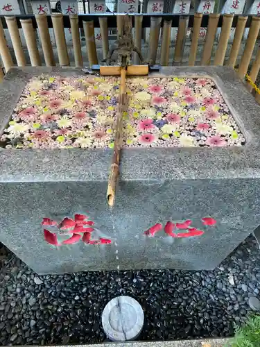 高円寺氷川神社(東京都)
