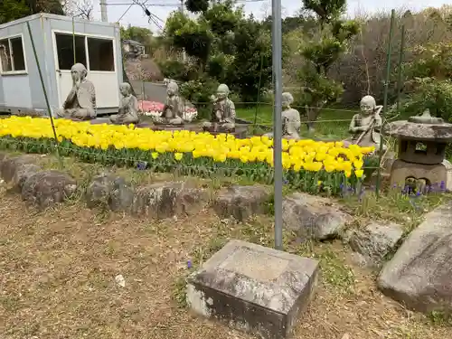 泉蔵寺の庭園