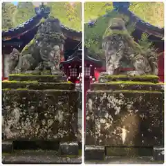 箱根神社の狛犬