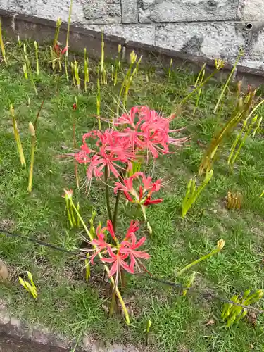 横浜　西方寺(神奈川県)
