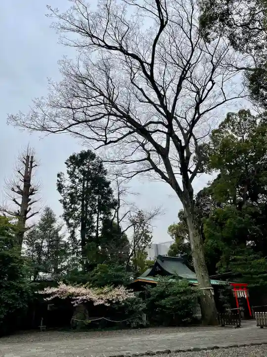 武蔵野八幡宮(東京都)