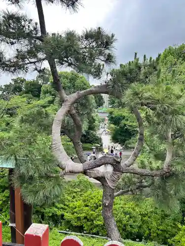 清水観音堂(東京都)