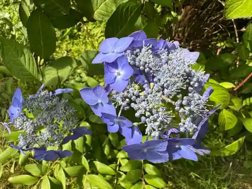 高屋敷稲荷神社(福島県)
