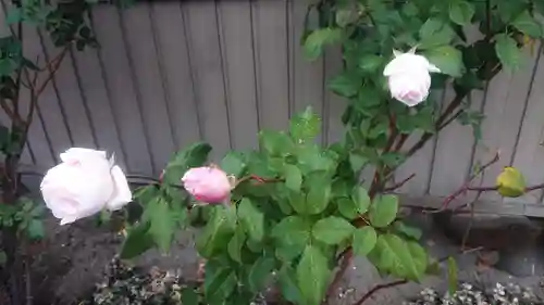 尾張大國霊神社（国府宮）の自然