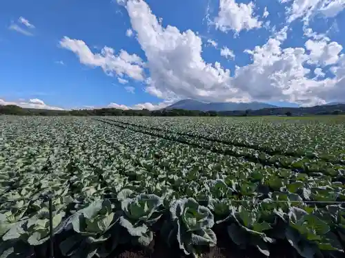 寛永寺別院浅間山観音堂の自然