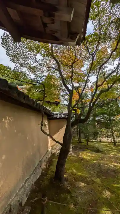大仙院(京都府)