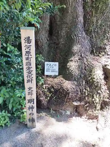 五所神社(神奈川県)