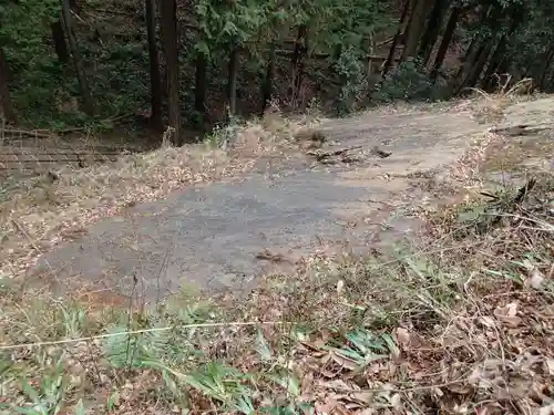 武蔵二宮 金鑚神社の自然