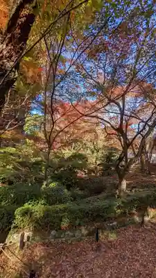 常照寺(京都府)