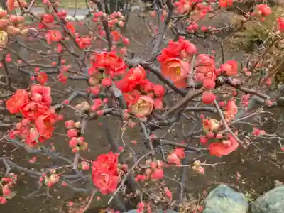 最願寺の{uncategorized: "未分類", other: "その他", undefined: "問題あり", building: "その他建物", grave: "お墓", sacred_gate: "鳥居", guardian: "狛犬", statue: "像", buddha: "仏像", history: "歴史", nature: "自然", garden: "庭園", animal: "動物", pagoda: "塔", temizu: "手水舎", mountain_gate: "山門・神門", sanctuary: "本殿・本堂", subordinate: "末社・摂社", art: "芸術", scenery: "景色", jizo: "地蔵", ema: "絵馬", goshuin: "御朱印", omikuji: "おみくじ", items: "授与品その他", amulet: "お守り", goshuincho: "御朱印帳", eats: "食事", festival: "お祭り", votive_dance: "神楽", shichigosan: "七五三参", wedding: "結婚式", experience: "体験その他", initially: "初詣", around: "周辺", anti_infection: "感染症対策"}