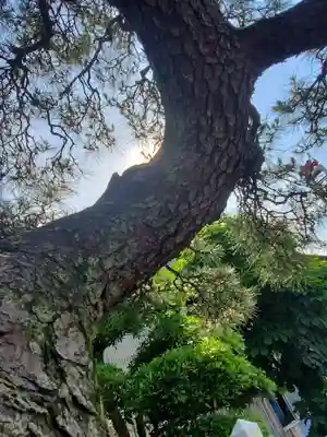 梁田招魂社(栃木県)