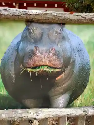 五方山熊野神社(東京都)