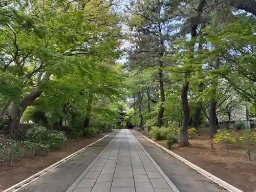 東漸寺(千葉県)