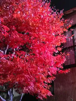 大山阿夫利神社(神奈川県)