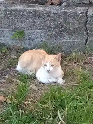 五郎兵衛稲荷神社(茨城県)