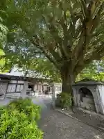 慈眼寺(徳島県)