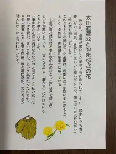 芳林寺(埼玉県)