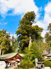 香取神宮(千葉県)