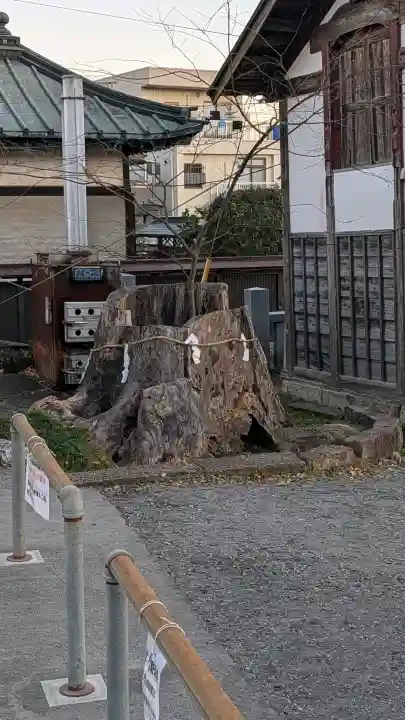 鹿沼今宮神社の{uncategorized: "未分類", other: "その他", undefined: "問題あり", building: "その他建物", grave: "お墓", sacred_gate: "鳥居", guardian: "狛犬", statue: "像", buddha: "仏像", history: "歴史", nature: "自然", garden: "庭園", animal: "動物", pagoda: "塔", temizu: "手水舎", mountain_gate: "山門・神門", sanctuary: "本殿・本堂", subordinate: "末社・摂社", art: "芸術", scenery: "景色", jizo: "地蔵", ema: "絵馬", goshuin: "御朱印", omikuji: "おみくじ", items: "授与品その他", amulet: "お守り", goshuincho: "御朱印帳", eats: "食事", festival: "お祭り", votive_dance: "神楽", shichigosan: "七五三参", wedding: "結婚式", experience: "体験その他", initially: "初詣", around: "周辺", anti_infection: "感染症対策"}