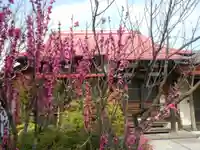 向福寺のその他建物