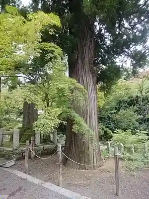 普門院（文知摺観音）(福島県)