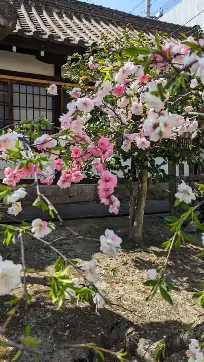 六孫王神社(京都府)