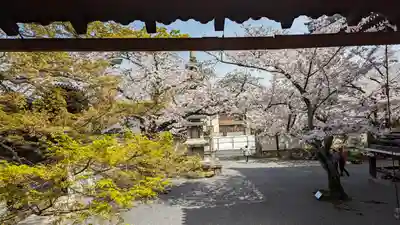 妙顯寺（妙顕寺）(京都府)