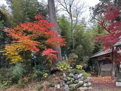 走田神社(京都府)